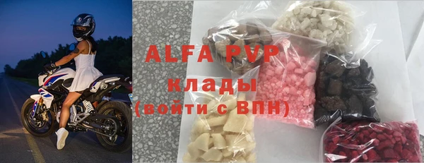 сатива Белокуриха